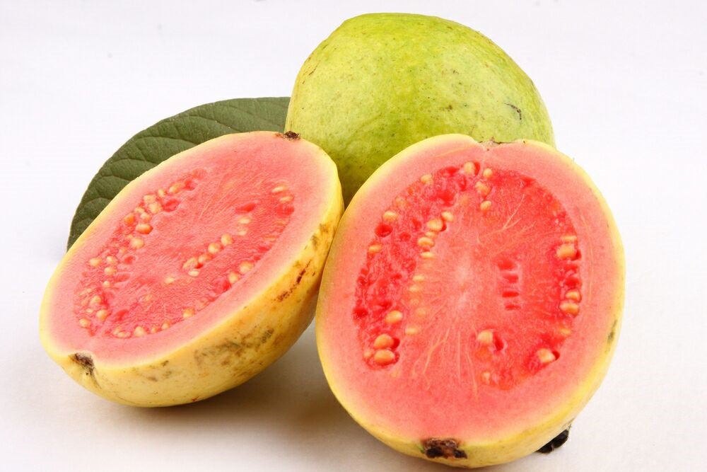 jamaican fruits